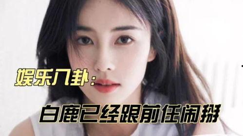 娱乐八卦最新爆料白鹿热,娱乐圈新晋女神白鹿，热度飙升背后的秘密